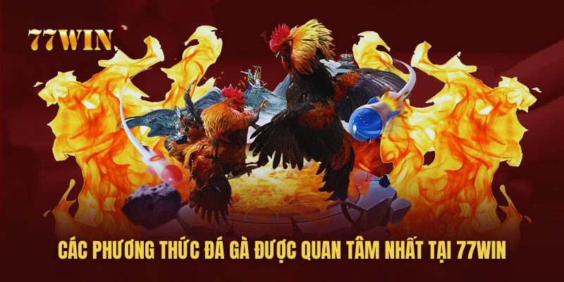 Tổng hợp các phương thức đá gà được quan tâm nhất tại 77win